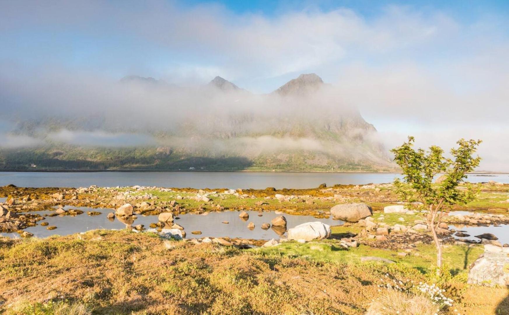 Дом отдыха Charming House In Fjord Lofoten *